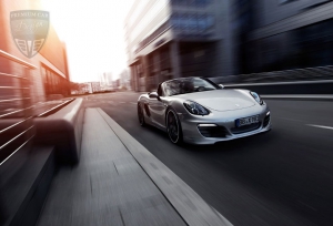 PORSCHE Boxster Boxster (981) Techart Tuning 