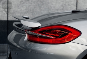 PORSCHE Boxster Boxster (981) Techart Tuning 