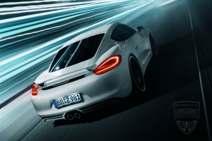 PORSCHE Cayman Cayman (981) Techart Tuning 