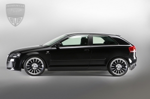 AUDI A3 A3 (8PA/ Sportback) 2005- Hofele Tuning 