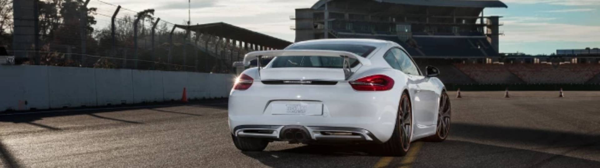 A hátsó szárnyak szerepe 